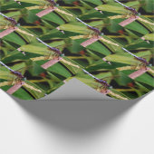 Papier Cadeau libellule avec fleurs blanches (Coin)