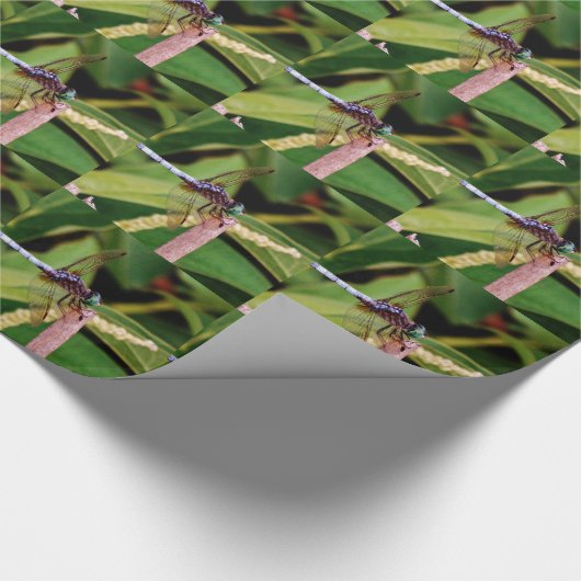 Papier Cadeau libellule avec fleurs blanches (Coin)