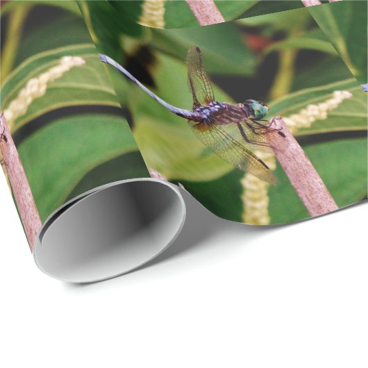 Papier Cadeau libellule avec fleurs blanches (Coin rond)