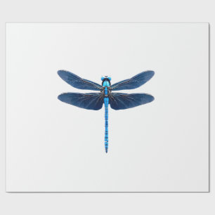 Papier Cadeau Libellule bleue - Ento amateur d'animaux sauvages