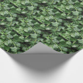Papier Cadeau Lierre (Coin)