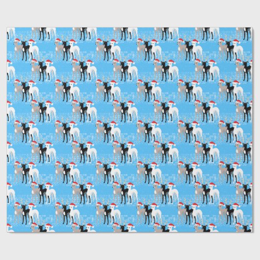 Papier Cadeau L'Iggy de Noël Greyhounds italien dans l'enveloppe (Plat)