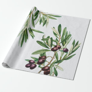 Papier Cadeau L'île méditerranéenne grecque Feuille d'olive