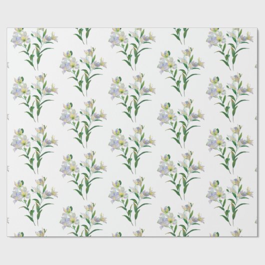 Papier Cadeau Lily (Plat)