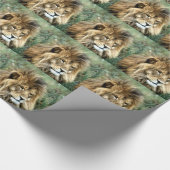 Papier Cadeau Lion africain (Coin)