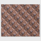 Papier Cadeau Lion africain (Plat)