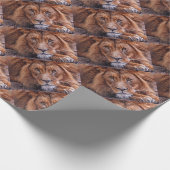 Papier Cadeau Lion africain (Coin)