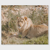 PAPIER CADEAU LION EN GRAS (Plat)