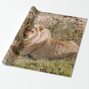 PAPIER CADEAU LION EN GRAS