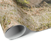 PAPIER CADEAU LION EN GRAS (Coin rond)