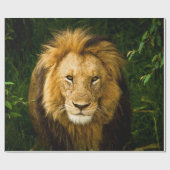 PAPIER CADEAU LION KING DANS LA JUNGLE (Plat)