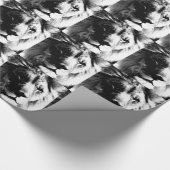 Papier Cadeau Lion noir et blanc (Coin)