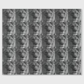 Papier Cadeau Lion noir et blanc (Plat)