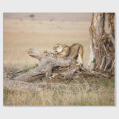 Papier Cadeau Lioness stretching (Plat)