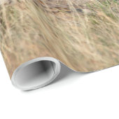 Papier Cadeau Lioness stretching (Coin rond)