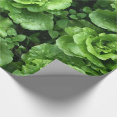 Papier Cadeau Lit de laitue (Coin)