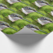 Papier Cadeau Little Hummer (Coin)