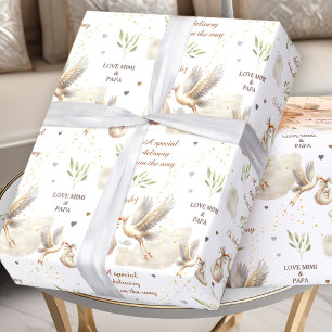 Papier Cadeau Livraison spéciale Unisex Stork Nouveau nom bébé T