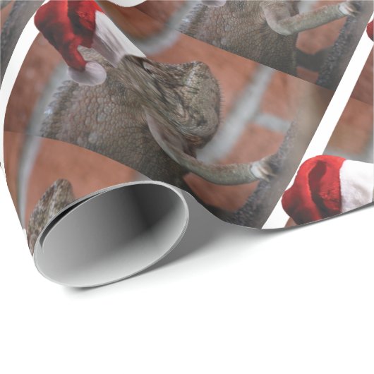 Papier Cadeau Lizard-Père Noël-Casquette (Coin rond)