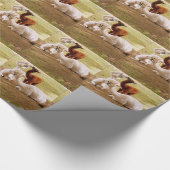 Papier Cadeau Llamas Avec Bébé Cria (Coin)