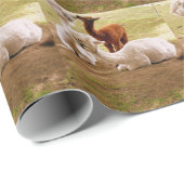 Papier Cadeau Llamas Avec Bébé Cria (Coin rond)