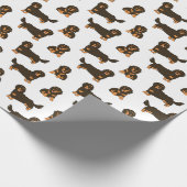 Papier Cadeau Long Haired Dachshund (Coin)