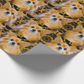 Papier Cadeau Longhair Chihuahua pom-chi Pomeranian (Coin)