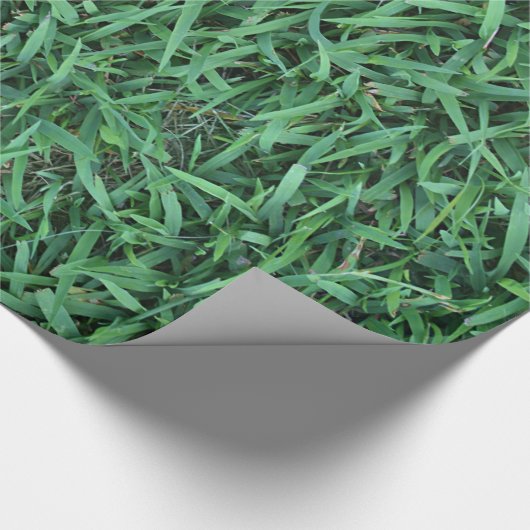 Papier Cadeau Longue texture d'herbe verte (Coin)