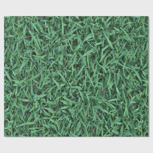 Papier Cadeau Longue texture d'herbe verte (Plat)