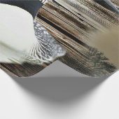 Papier Cadeau Loon (Coin)