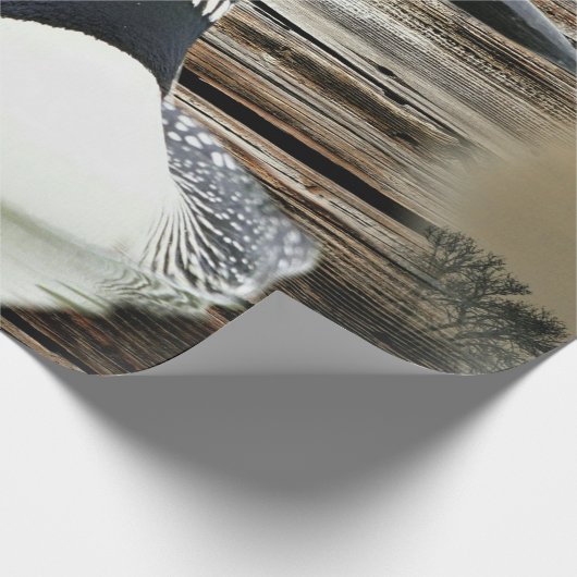 Papier Cadeau Loon (Coin)