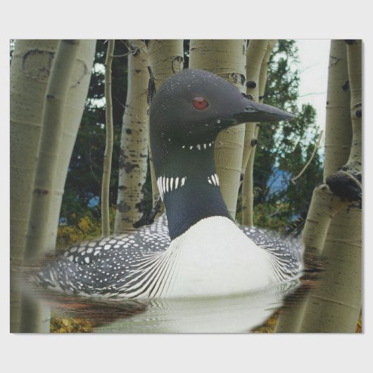Papier Cadeau Loon sauvage (Plat)