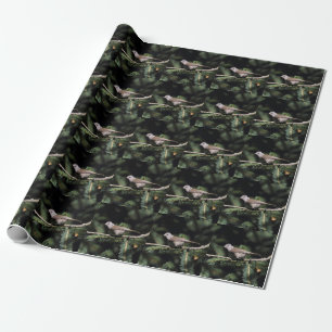Papier Cadeau Lophophane cristatus