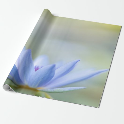 Papier Cadeau Lotus bleu élégant (Déroulé)