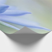 Papier Cadeau Lotus bleu élégant (Coin)