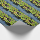 Papier Cadeau Lotus rose en pluie (Coin)