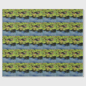 Papier Cadeau Lotus rose en pluie (Plat)