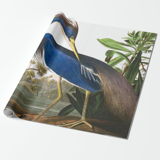 Papier Cadeau Louisiana Heron par John James Audubon (Déroulé)