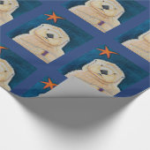 Papier Cadeau Loutre de mer (Coin)