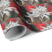 Papier Cadeau Lovely Edelweiss Leontopodium nivale (Coin rond)