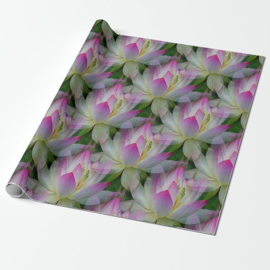 Papier Cadeau Loving Lotuses... (Déroulé)