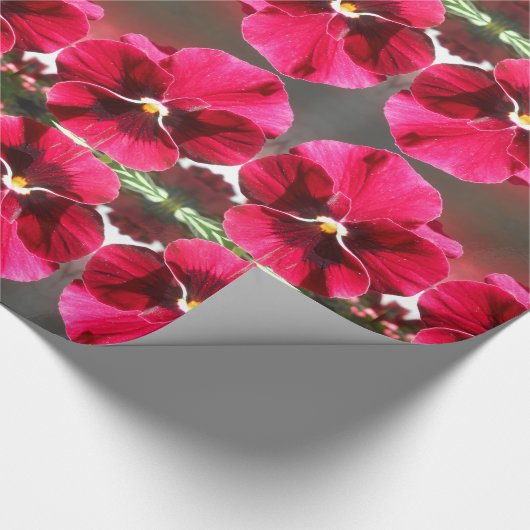 Papier Cadeau Lucrezia (Coin)