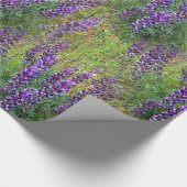 Papier Cadeau Lupines Galore... (Coin)