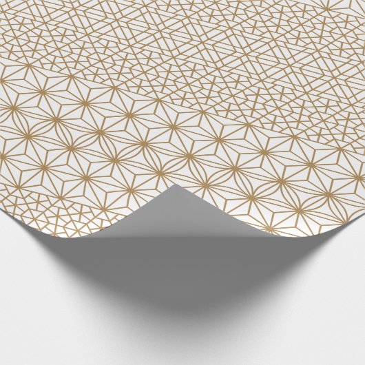 Papier Cadeau Luxe (Coin)