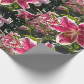 Papier Cadeau Lys roses fleurs tropicales roses rose (Coin)