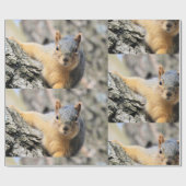 Papier Cadeau M. Cutie (Plat)