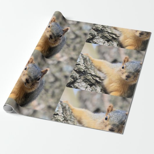 Papier Cadeau M. Cutie (Déroulé)