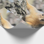 Papier Cadeau M. Cutie (Coin)