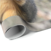 Papier Cadeau M. Cutie (Coin rond)