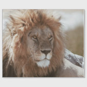 PAPIER CADEAU M. LION (Plat)